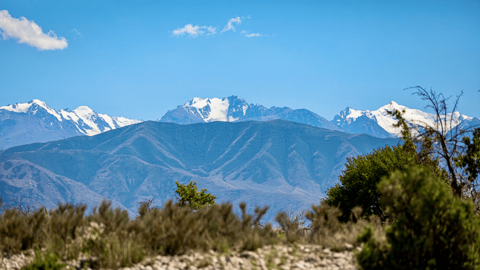 kolfest festival kyrgyzstan issykkul music art lake event july bishkek travel party rave edm kolfest photo